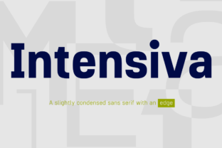 Intensiva Family: A Professional Sans Serif Font for Small Businesses