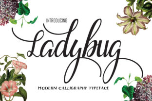 Ladybug: A Warm, Lived-In Script That Earns Its Place