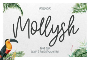 Mollysh: A Light-Handed Script Font for Digital Charm